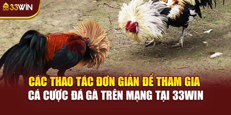 Các thao tác đơn giản để tham gia cá cược đá gà trên mạng tại 33win