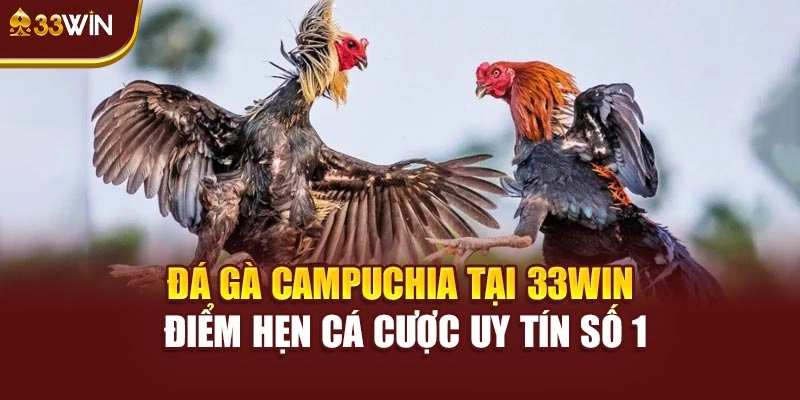 Đá Gà Campuchia Tại 33win – Điểm Hẹn Cá Cược Uy Tín Số 1