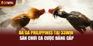 Đá Gà Philippines Tại 33win – Sân Chơi Cá Cược Đẳng Cấp