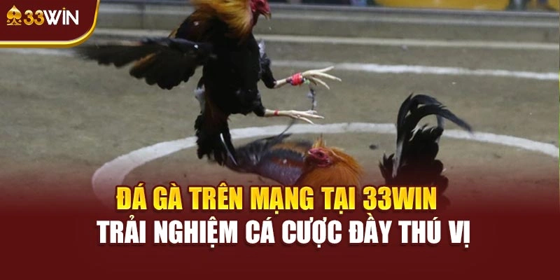 Đá Gà Trên Mạng Tại 33win – Trải Nghiệm Cá Cược Đầy Thú Vị