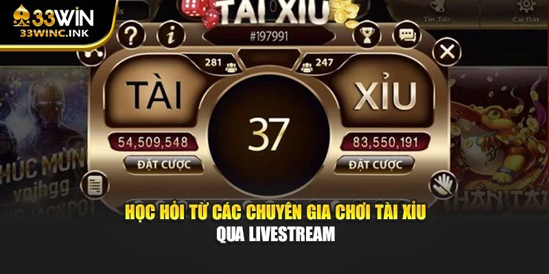 Học hỏi từ các chuyên gia chơi Tài Xìu qua livestream