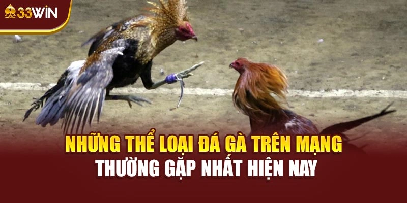 Những thể loại đá gà trên mạng thường gặp nhất hiện nay