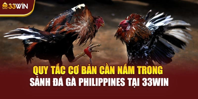 Quy tắc cơ bản cần nắm trong sảnh đá gà Philippines tại 33win