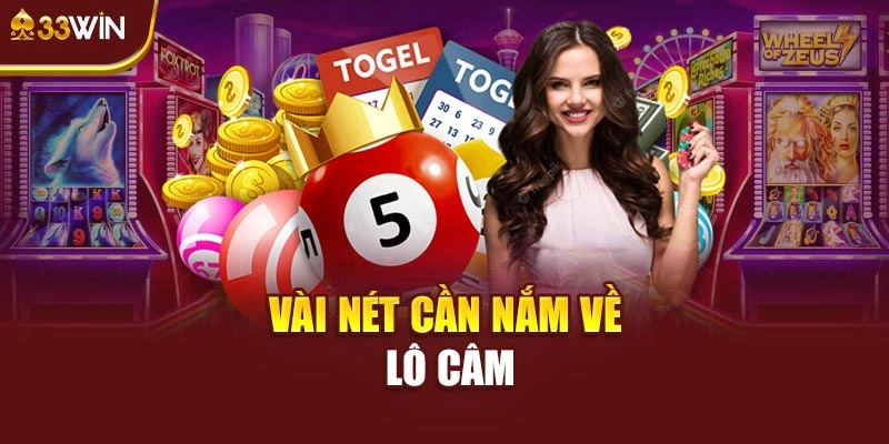 Vài nét cần nắm về lô câm