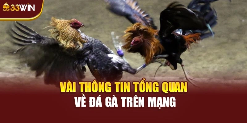 Vài thông tin tổng quan về đá gà trên mạng